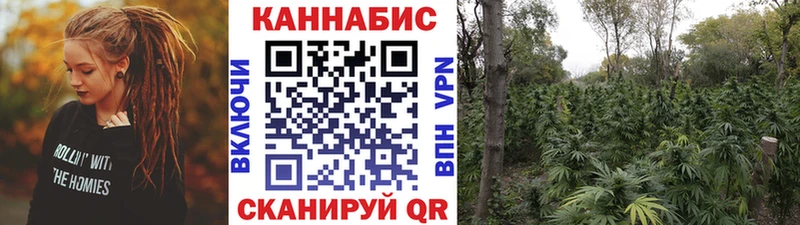 Магазины продажи наркотиков Шарья СОЛЬ  Метамфетамин  Меф  МАРИХУАНА  Кокаин 