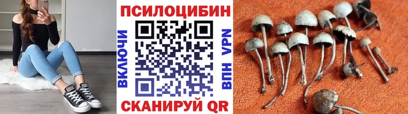 Галлюциногенные грибы MAGIC MUSHROOMS  цены наркотик  Шарья 